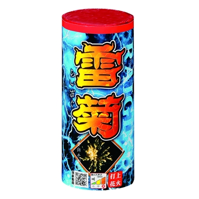 雷菊 【送料サービス対象外商品】