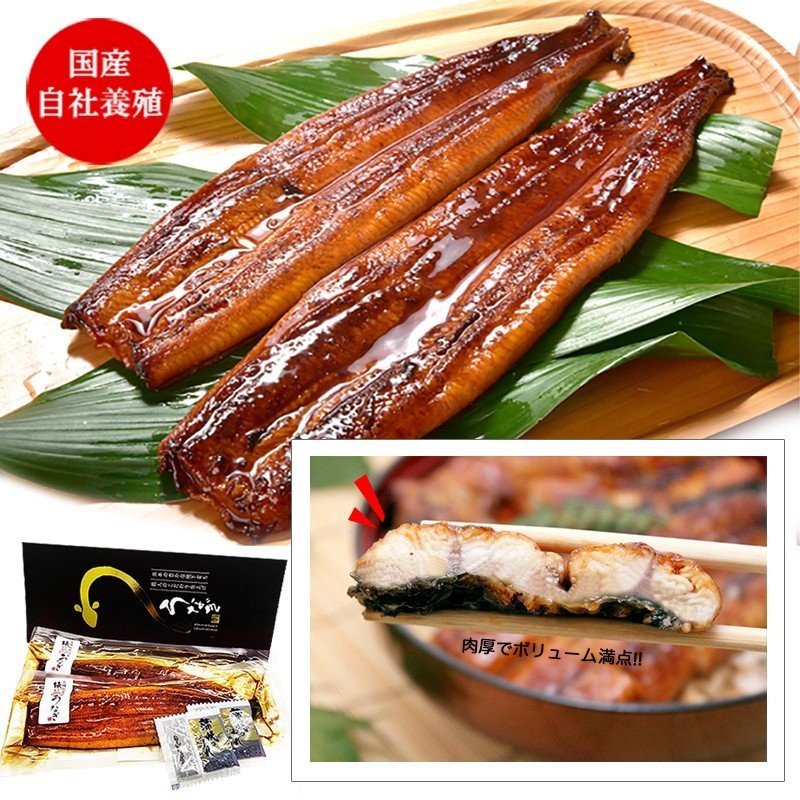 うなぎ蒲焼き　280g 2尾セット 送料無料 （離島を除く） 国産 自社養殖