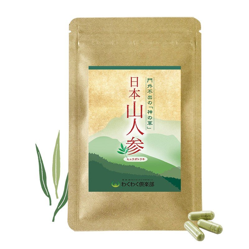 日本山人参サプリメント 45カプセル 1袋 国産