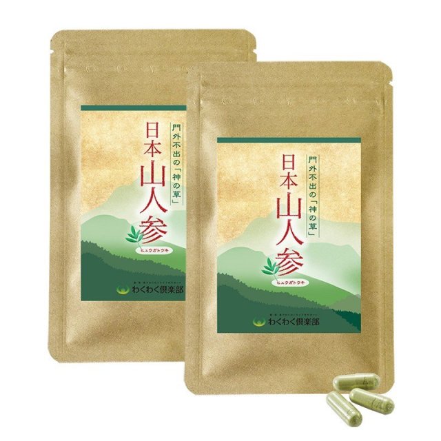 日本山人参サプリメント １袋45カプセル×2袋