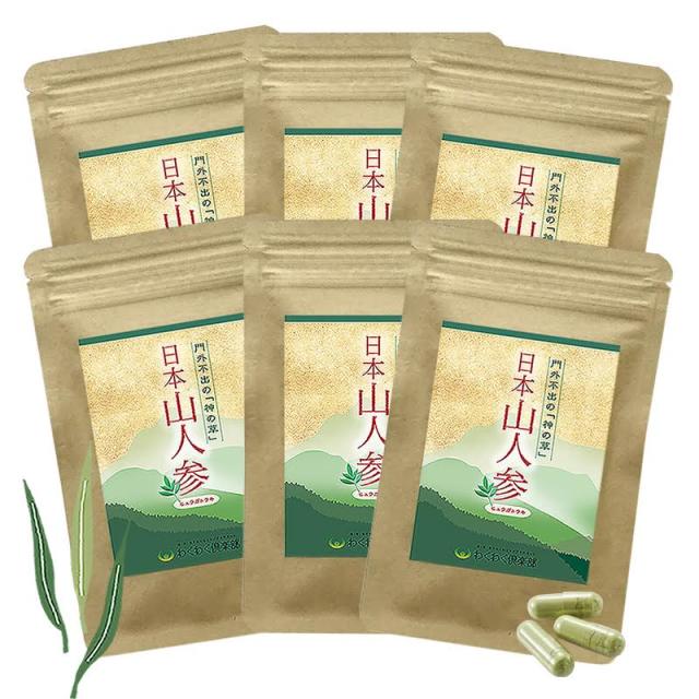日本山人参 6袋（１袋45カプセル）  国産原料 ヒュウガトウキ
