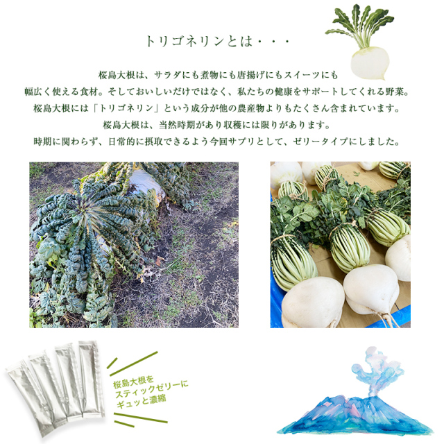 トリゴネリンゼリー