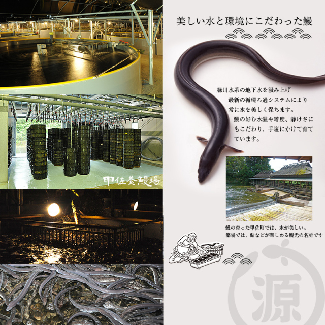 うなぎ蒲焼き200g2尾セット