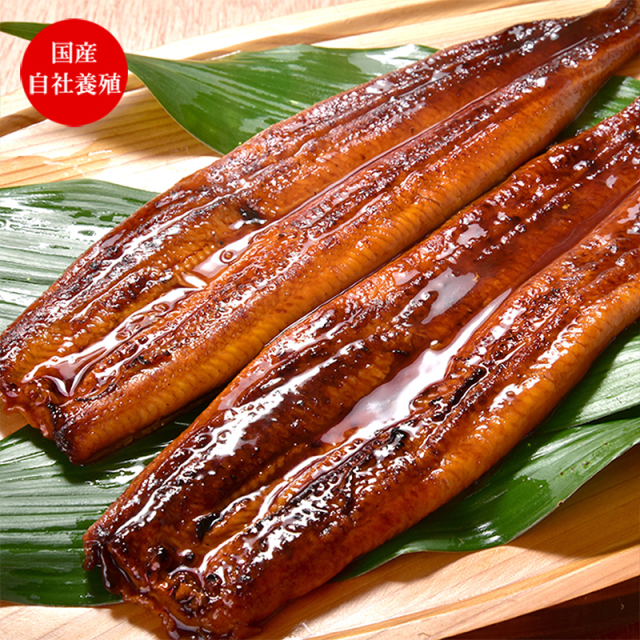 うなぎ蒲焼き　170g 2尾セット 送料無料 国産 自社養殖