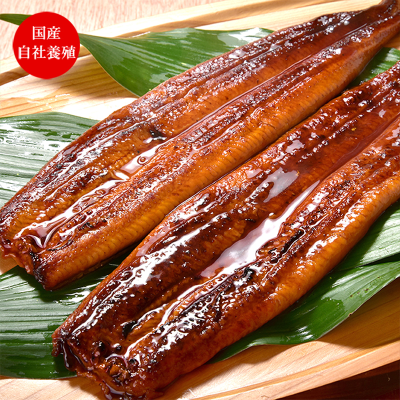うなぎ蒲焼き　170g 2尾セット 送料無料 国産 自社養殖