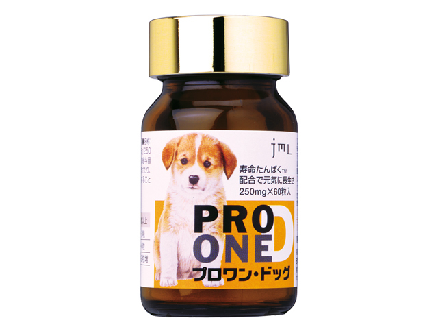 プロワン・ドック