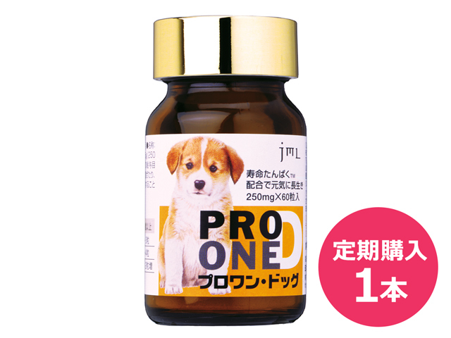 【定期購入 1本】プロワンドック　