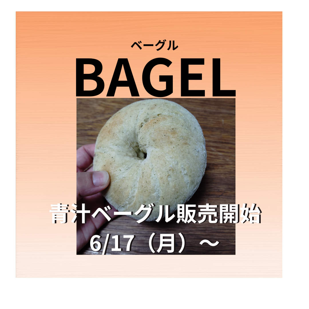 もっちりケールベーグル　1個　※冷凍でお届け　別途送料必要