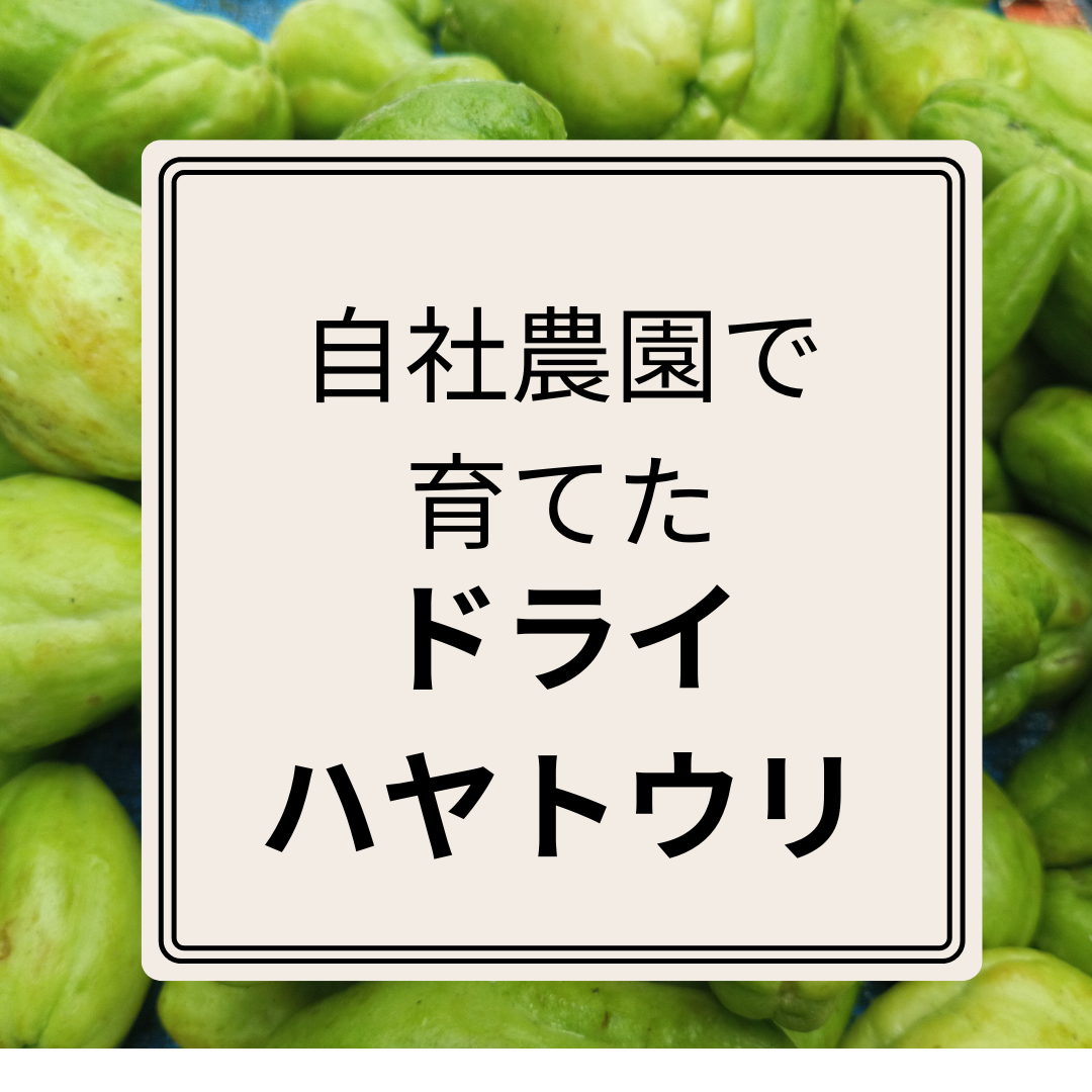 ドライハヤトウリ　（1袋20ｇ入り）
