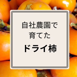 ドライ柿　（1袋30ｇ入り）