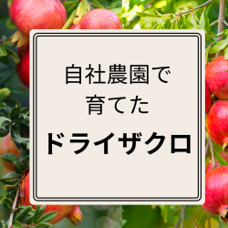 ドライザクロ　（1袋25ｇ入り）