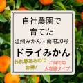 ドライみかん（温州みかん・南柑20号の2種類混合）1袋に120ｇ入り　大容量お得なご自宅用