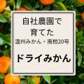 ドライみかん（温州みかん・南柑20号の2種類混合）1袋に20ｇ入り