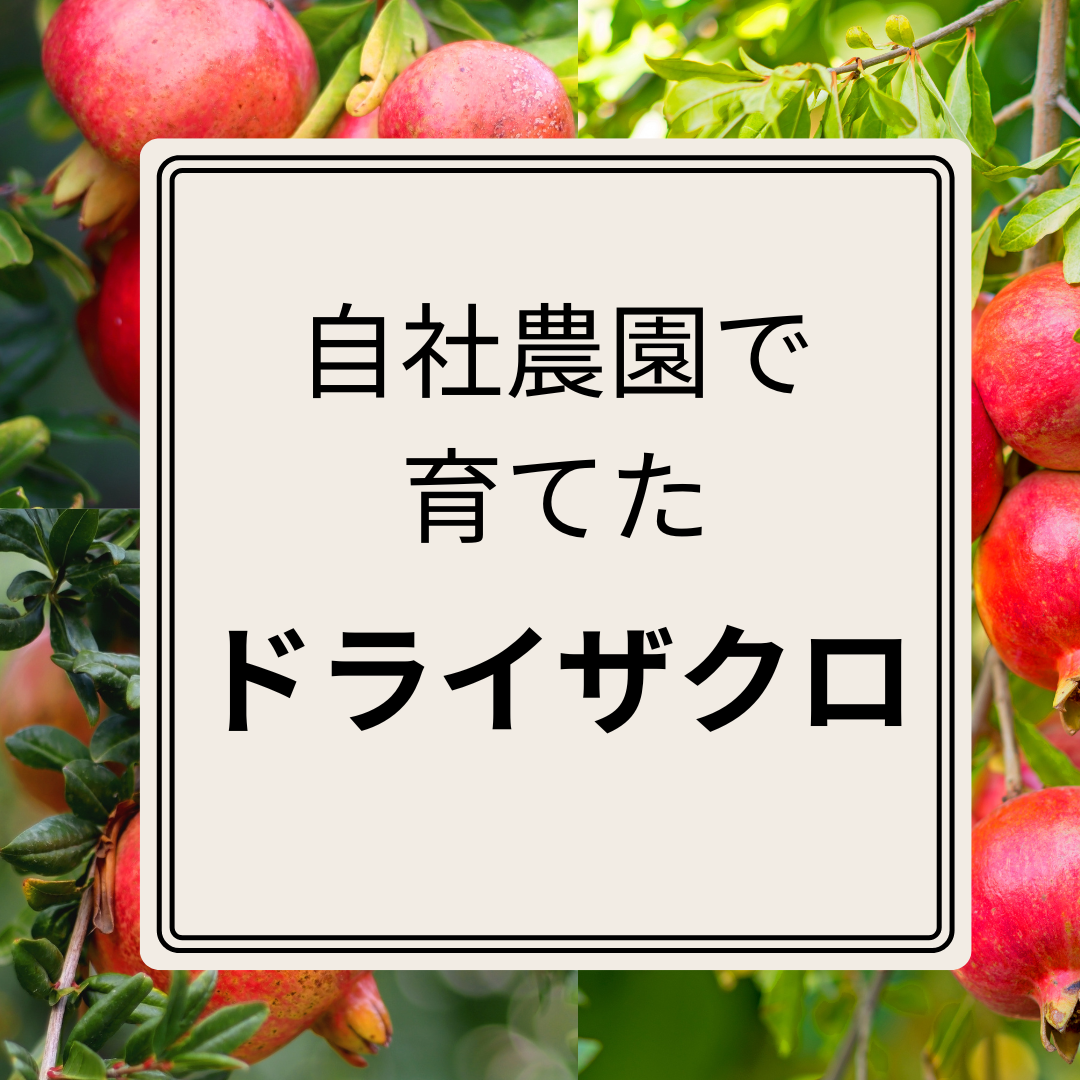 ドライザクロ　（1袋25ｇ入り）