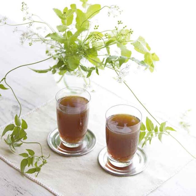 アオバパパイヤクエストプラス イメージ