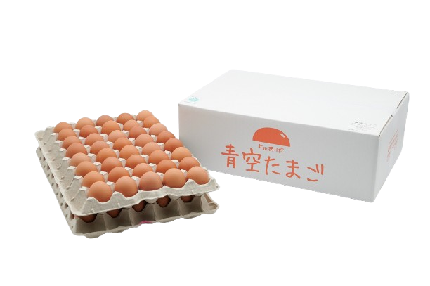 青空たまごＬ寸80個入