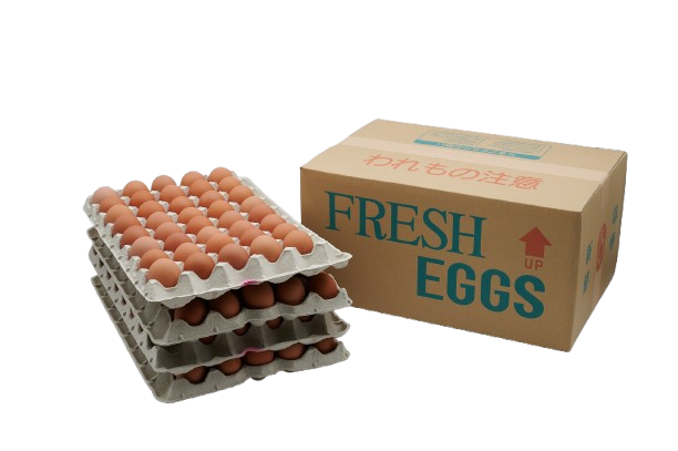 青空たまごＬ寸10キロ入り