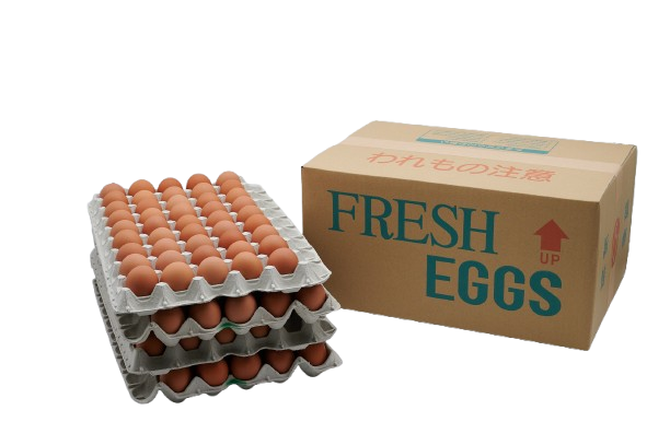 青空たまごＭ寸10キロ入り