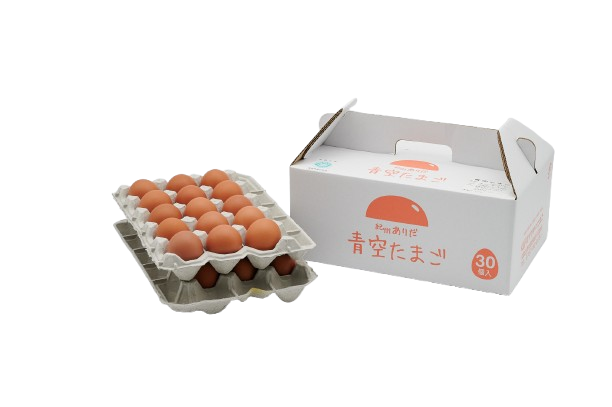 青空たまごＭ寸30個入