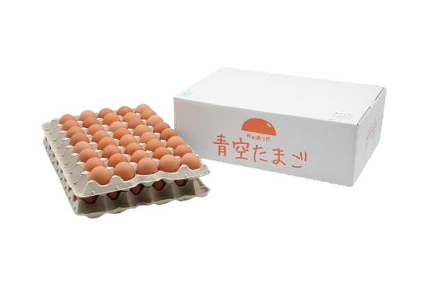 青空たまごＭ寸90個入