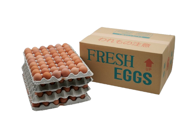 青空たまごＭＳ寸10キロ入り