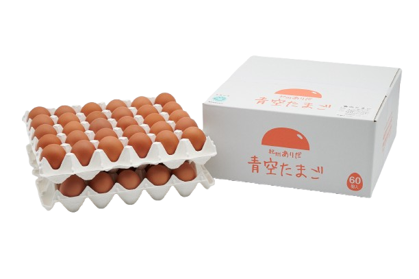 青空たまごＭ寸60個入
