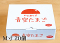 おいしい卵はいかが？田舎で育った健康卵／青空たまごＭ寸20個入