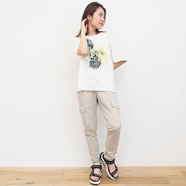 【40%OFF】【正規品】THE NORTH FACE PURPLE LABEL ノースフェイス パープルレーベル NT3216N W2 BlueJay クールマックス プリントTシャツ グラフィックTシャツ カケス COOLMAX H/S Graphic T | 22SS トップス 春夏