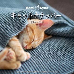 キャットナッパー（Catnapper）猫のうたた寝