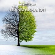 トランスフォーメーション（Transformation）変容
