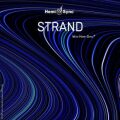 ストランド（Strand）撚り糸