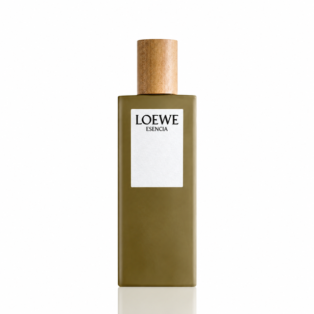 ロエベ LOEWE 商品画像