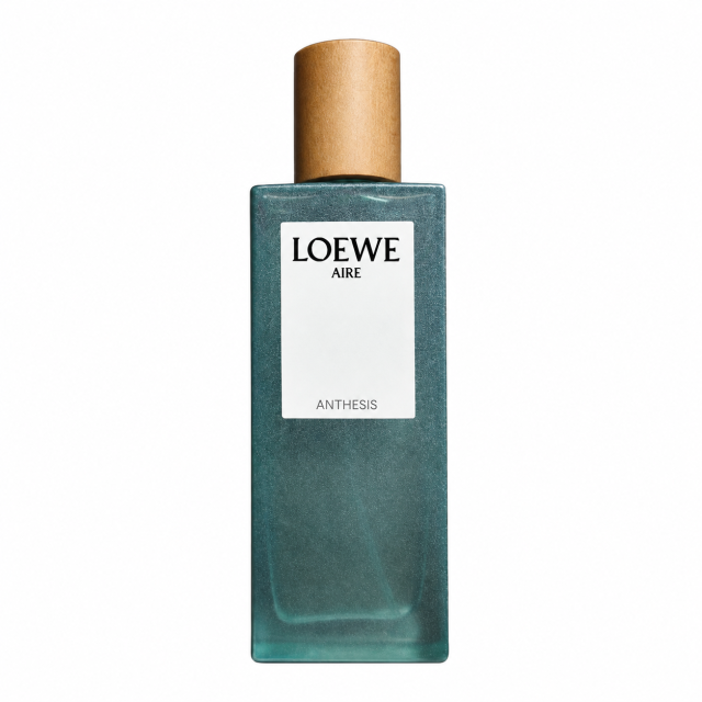 ロエベ LOEWE 商品画像