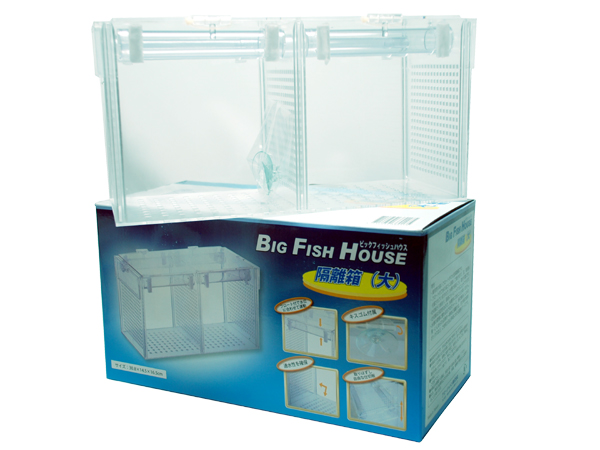 Aria SWB-02 Fishman ピックアップ搭載 ケース付き Aria SWB-02 Fishman ピックアップ搭載 ケース付き - メルカリ