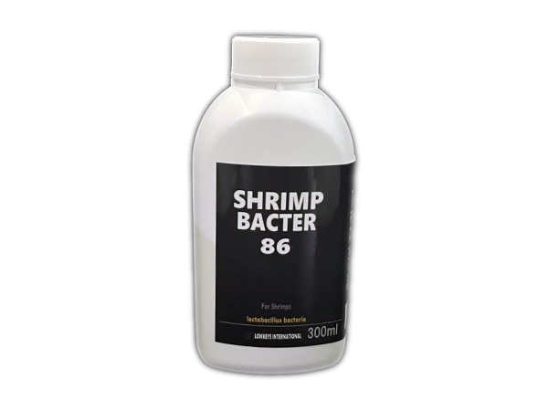 ローキーズ SHRIMP BACTER86  300ml