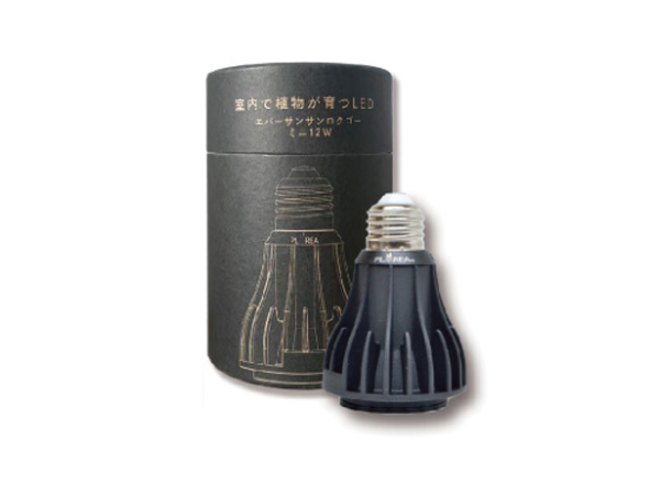 【お取り寄せ】ゼンスイ EverSun365mini 12W ブラック
