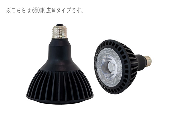 京セラ CERAPHIC いきもの電球 6500K(昼光色) 広角