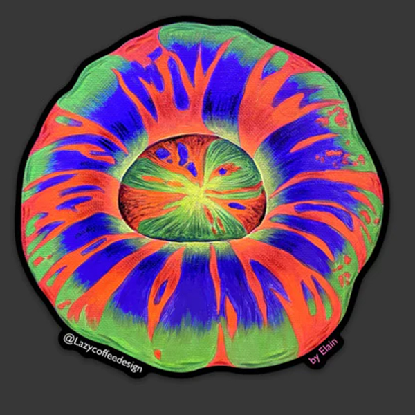 【正規輸入品】lazycoffeedesign Master Scoly Sticker