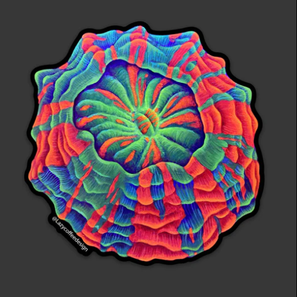 【正規輸入品】lazycoffeedesign Acantho Sticker