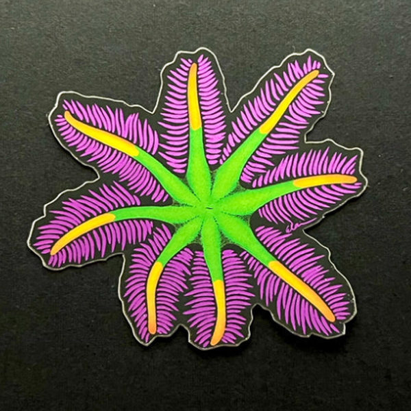 【正規輸入品】lazycoffeedesign Firework Clove Polyp Sticker / Metallic