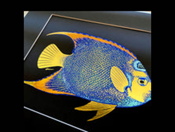 【正規輸入品】Queen Angelfish Foil Art Print