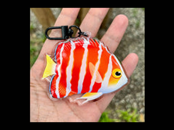 【正規輸入品】Peppermint Angel Keychain