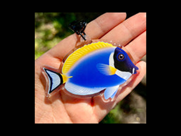 【正規輸入品】Powder Blue Tang Keychain