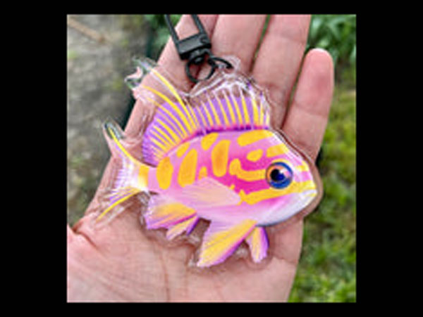 【正規輸入品】Blotched Anthias Keychain