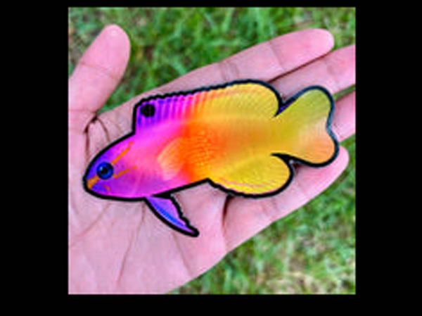【正規輸入品】Royal Gramma Sticker/Holographic