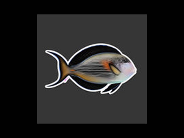 【正規輸入品】Sohal Tang Sticker