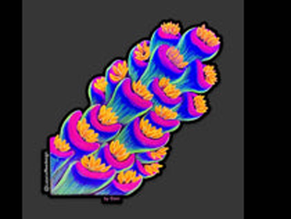 【正規輸入品】Rainbow Tenuis Sticker