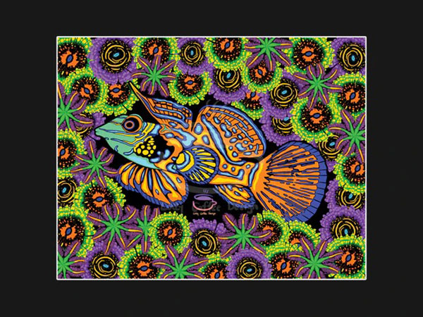 【正規輸入品】”Mandarin Garden”Fine Art Print