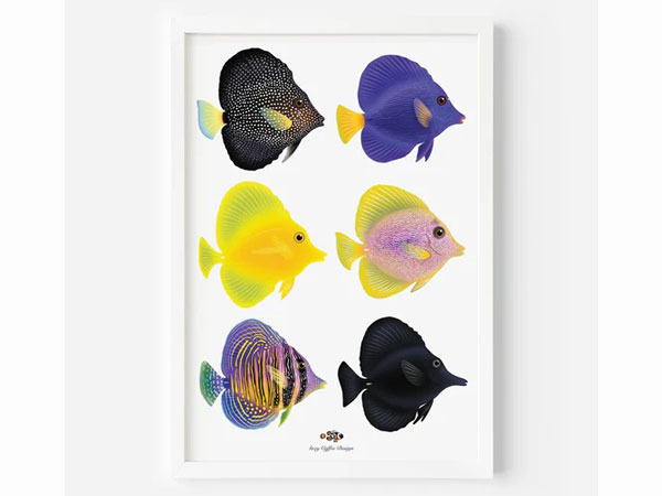 【正規輸入品】Zebrasoma Love Fine Art Print