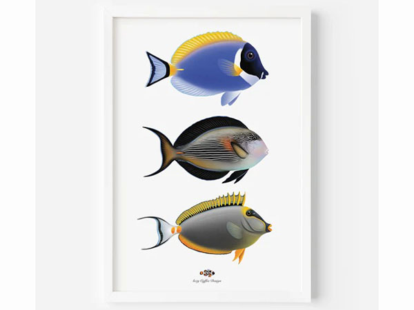 【正規輸入品】Powder Blue/Sohal/Blonde Naso Fine Art Print